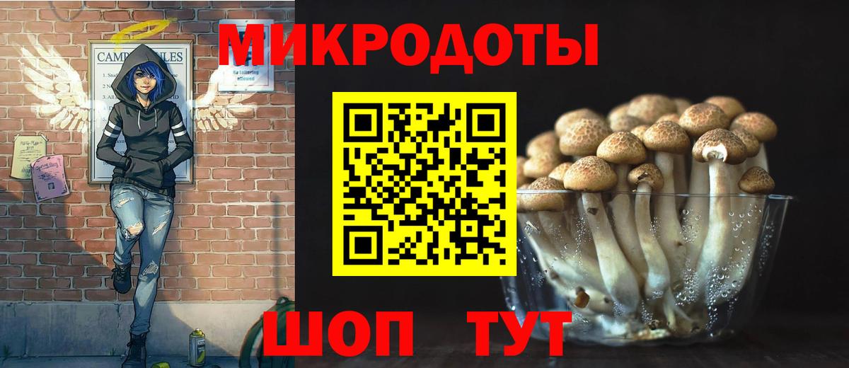 Галлюциногенные грибы Cubensis Киров