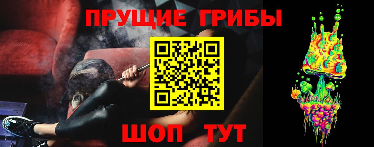 Киров  Галлюциногенные грибы Psilocybine cubensis  Вход с VPN 